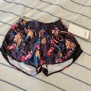 NWT Hottie hot shorts 4” inseam